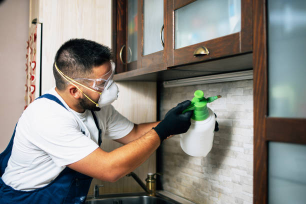 Best Affordable Pest Control Services  in Roman Forest, TX