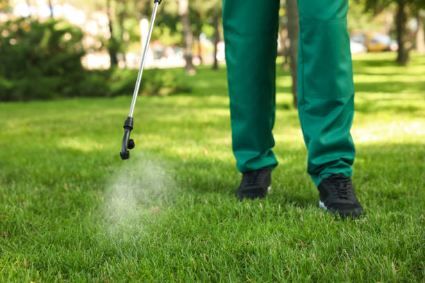 Best Pest Prevention Services  in Roman Forest, TX