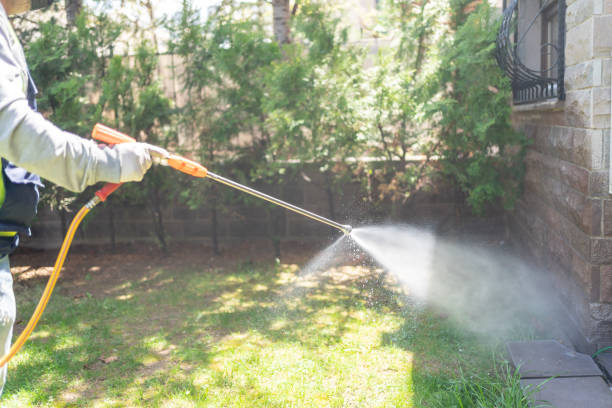 Best Wasp Removal Services  in Roman Forest, TX