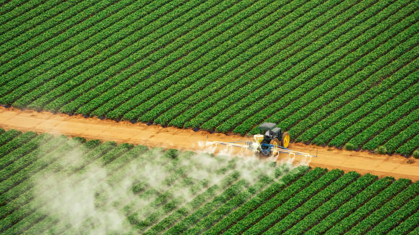 Pest Control Cost in Roman Forest, TX
