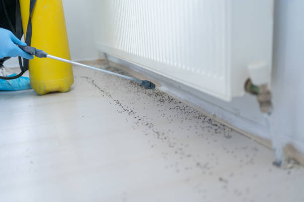  Roman Forest, TX Pest Control Pros