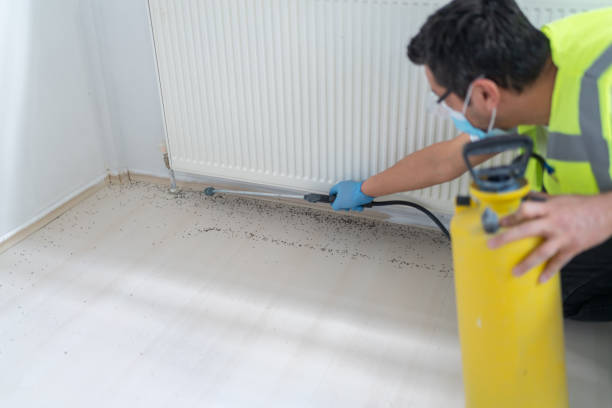 Best Best Pest Control Companies  in Roman Forest, TX